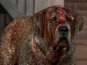 cujo3