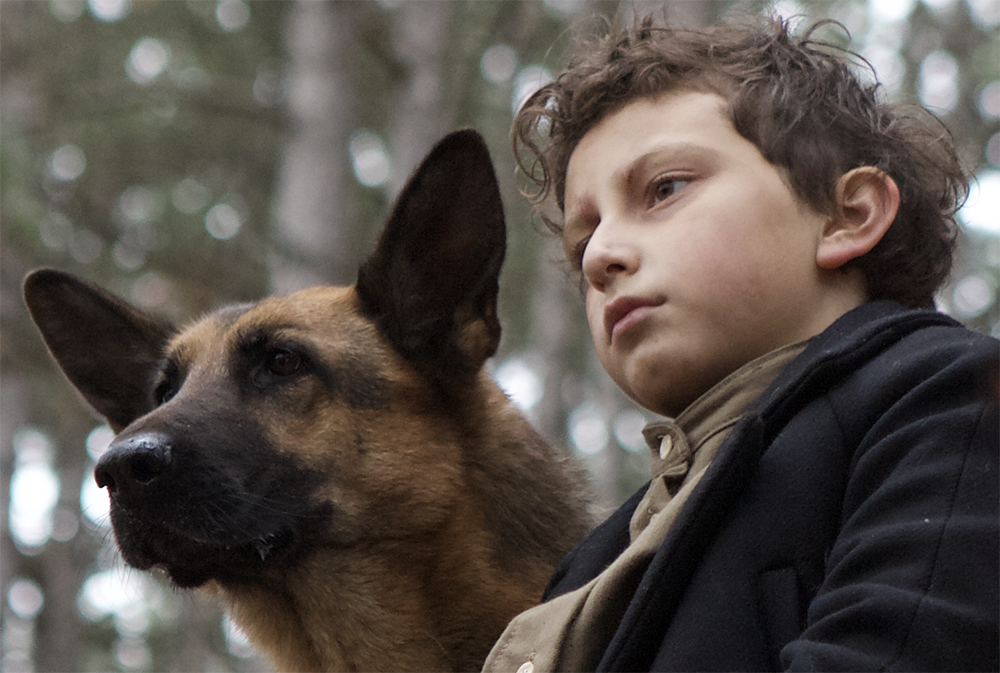 Shepherd: The Story of a Jewish Dog