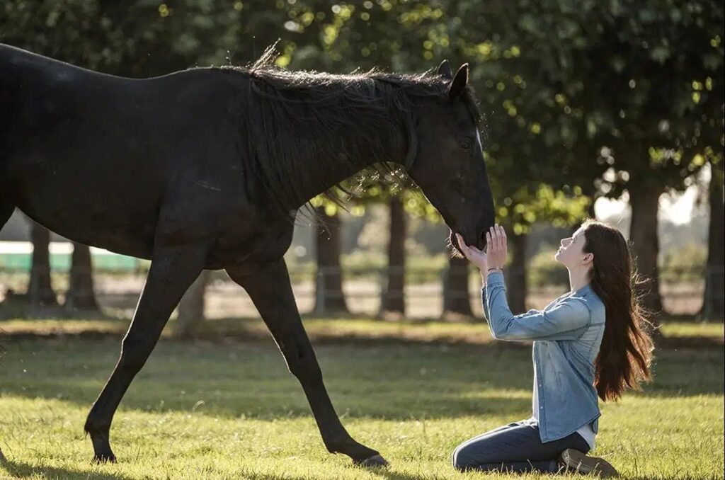 Horse Girl